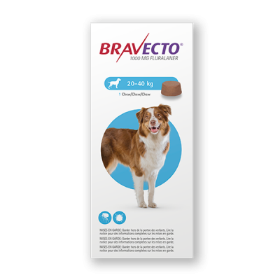 Antipulgas Para Perro Bravecto de 20-40 Kg